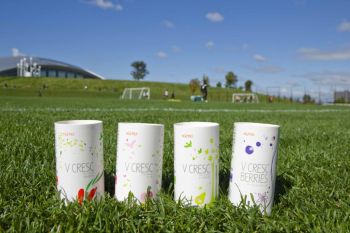 「コンサドーレ札幌を応援しています」の関連画像