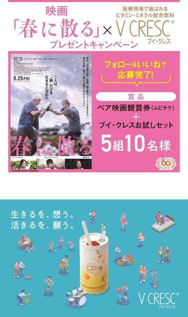 「映画「春に散る」×ブイ・クレス プレゼントキャンペーンのお知らせ」の関連画像