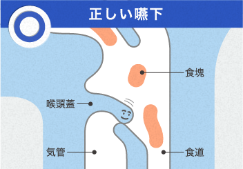 正しい嚥下