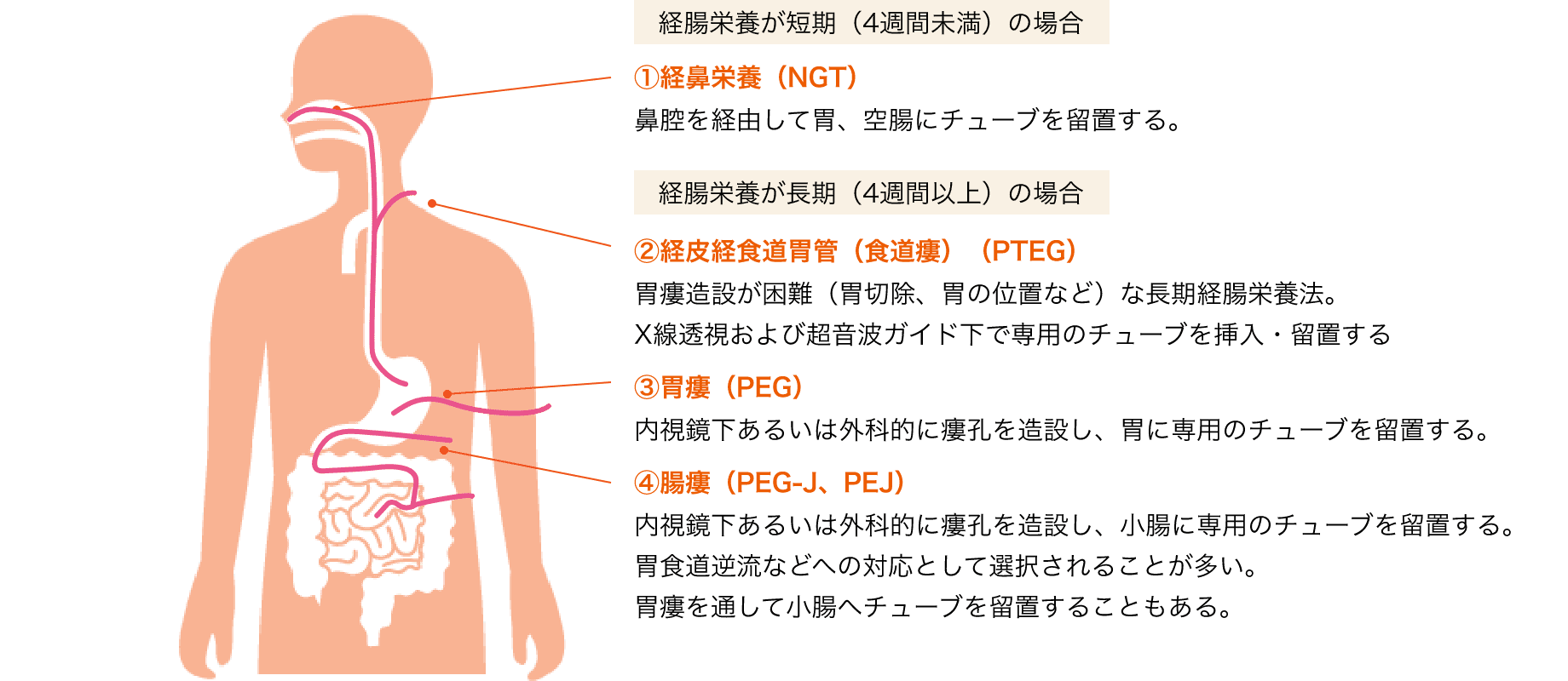 代表的な投与ルート