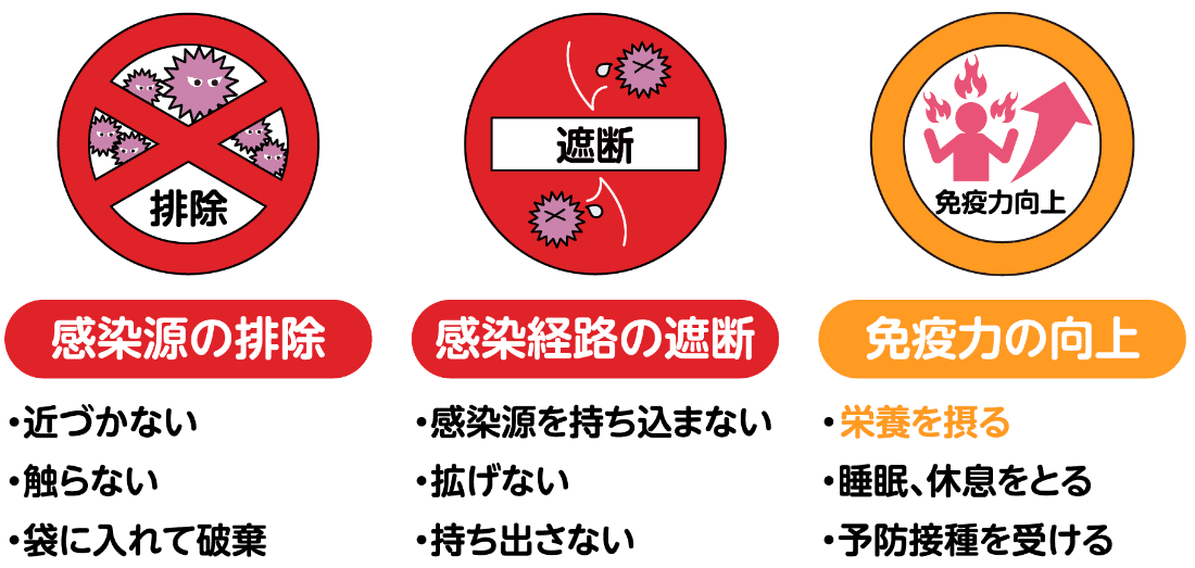 [感染源の排除]・近づかない ・触らない ・袋に入れて破棄 [感染経路の遮断]・感染源を持ち込まない ・拡げない ・持ち出さない [免疫力の向上]・栄養を摂る ・睡眠、休息をとる ・予防接種を受ける