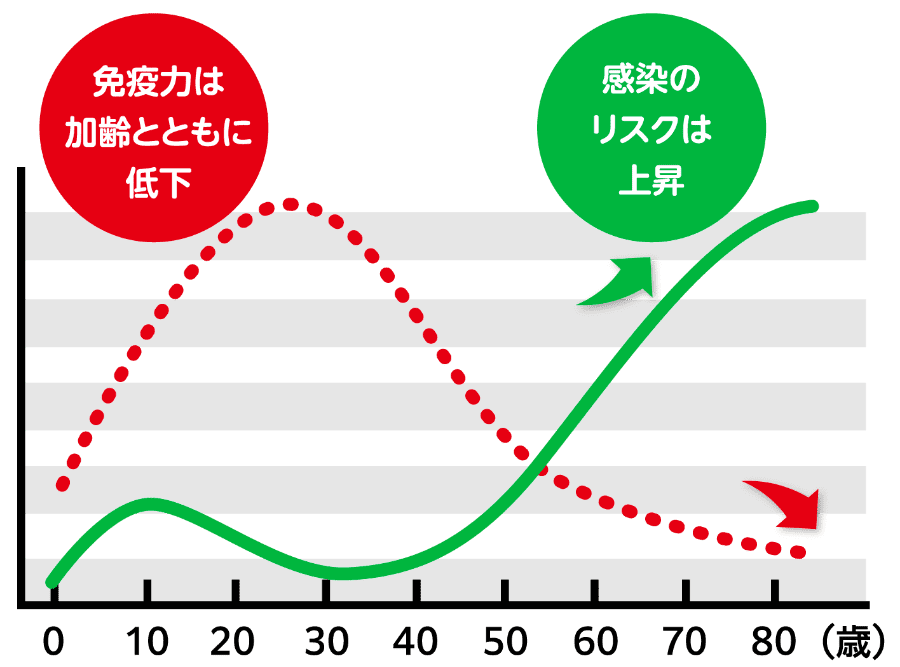 免疫力は加齢とともに低下。感染のリスクは上昇。