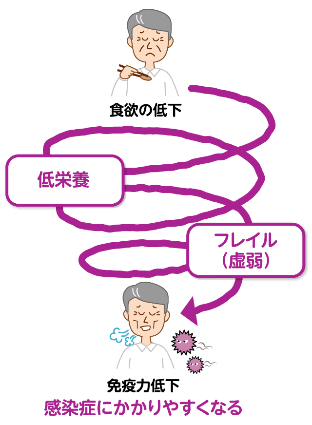 食欲の低下 → 低栄養 → フレイル（虚弱） → 免疫力低下 感染症にかかりやすくなる