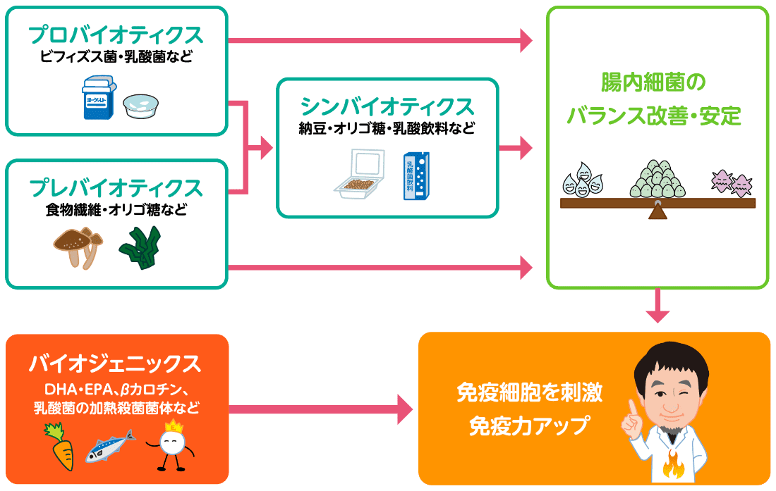 [プロバイオティクス]ビフィズス菌・乳酸菌など [プレバイオティクス]食物繊維・オリゴ糖など [シンバイオティクス]納豆・オリゴ糖・乳酸飲料など [バイオジェニックス]DHA・EPA、βカロチン、乳酸菌の加熱殺菌菌体など