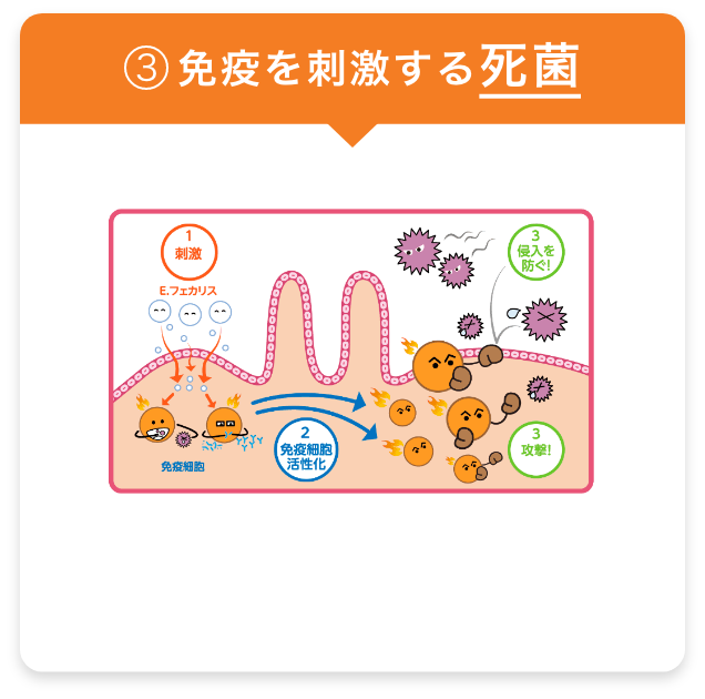 免疫を刺激する死菌