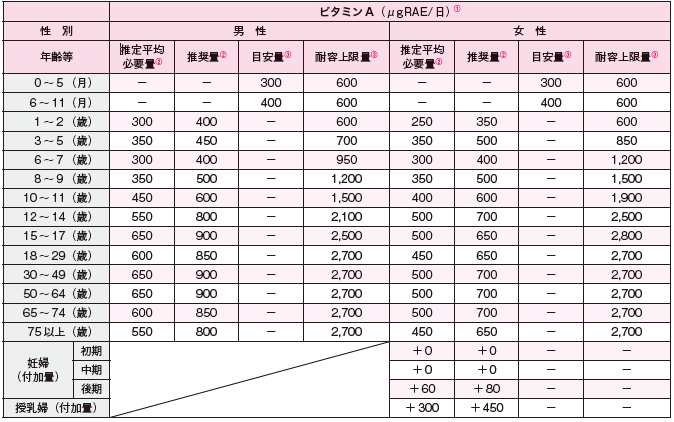 付録 | ニュートリー株式会社