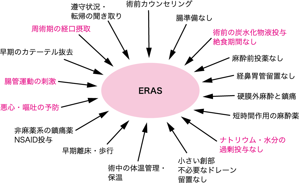 4 Eras Essense ファストトラック Eras Essense Fast Track Surgery ニュートリー株式会社