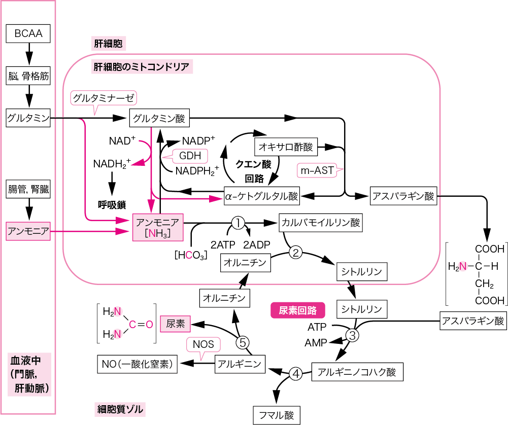 図2