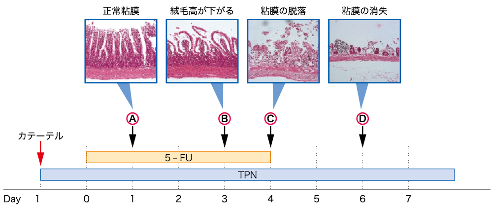 図2