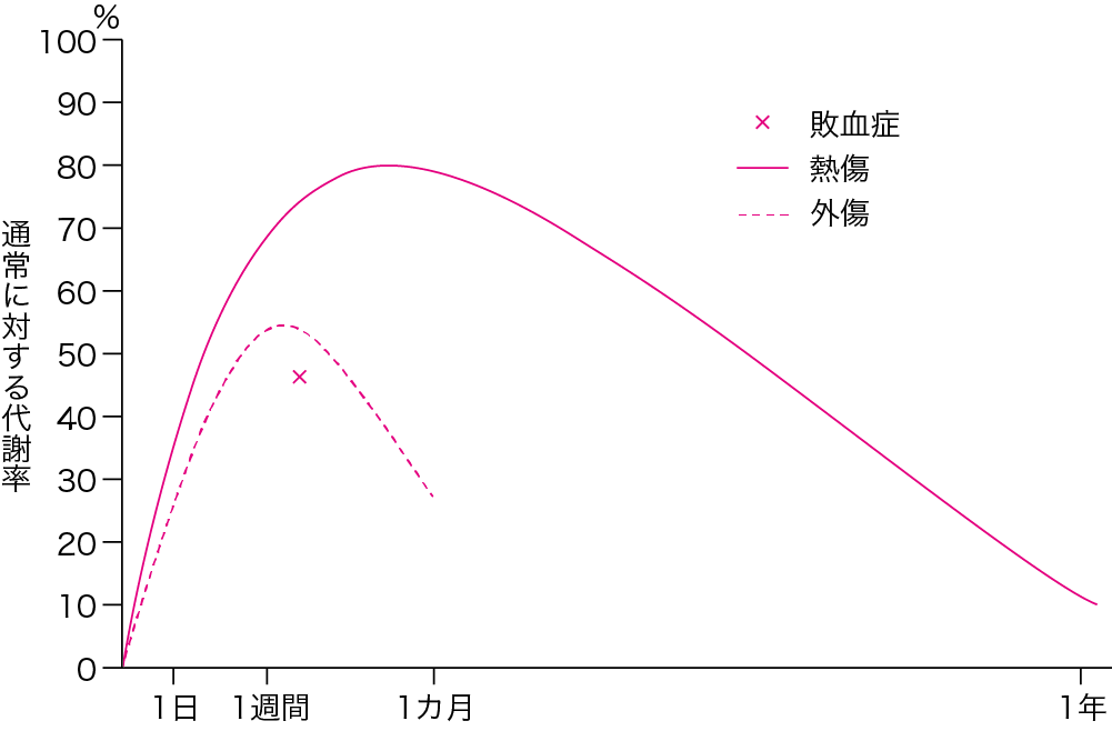 図Ⅰ