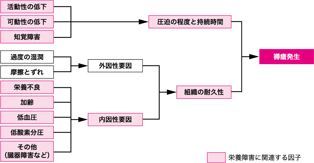 図Ⅰ●褥瘡発生要因と栄養障害