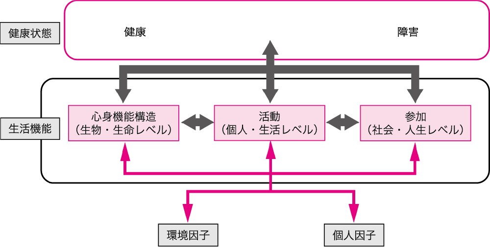 図1●ICFモデル2001