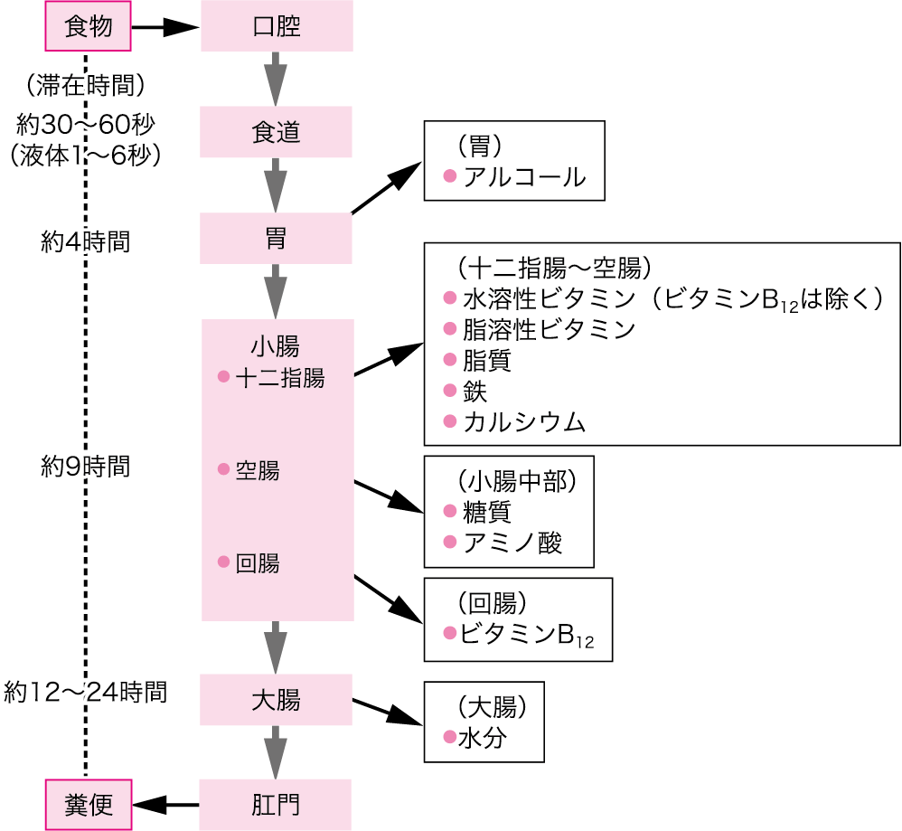 図Ⅱ