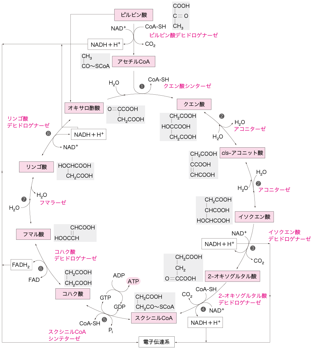 図2