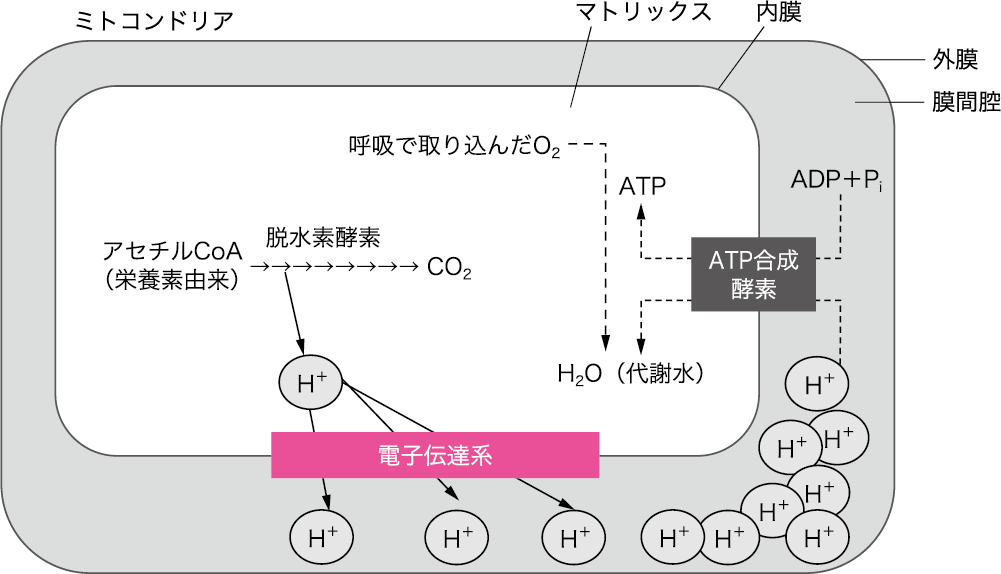 図3