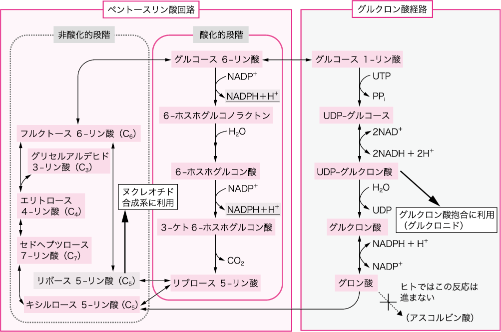 図6