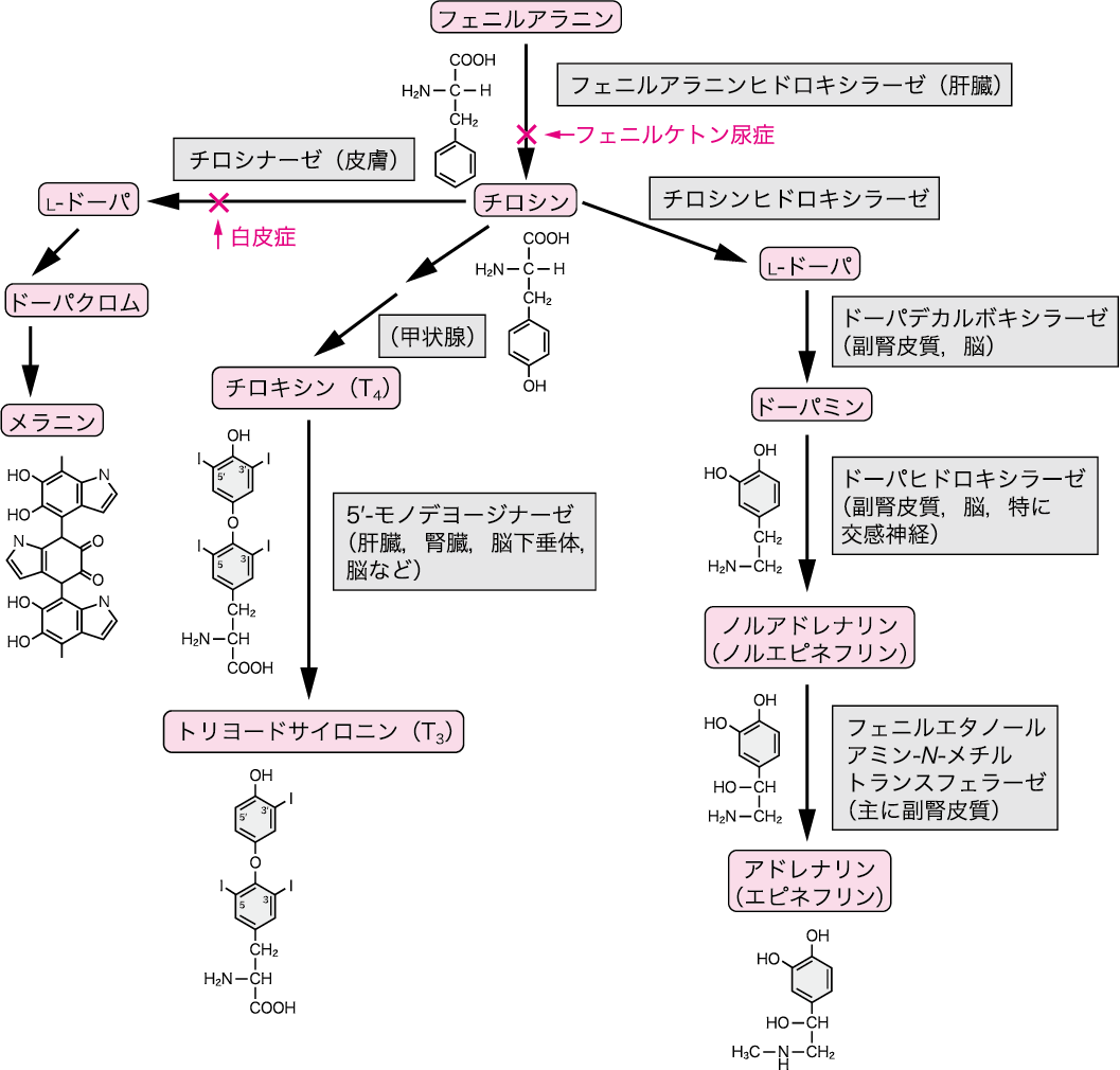 図5