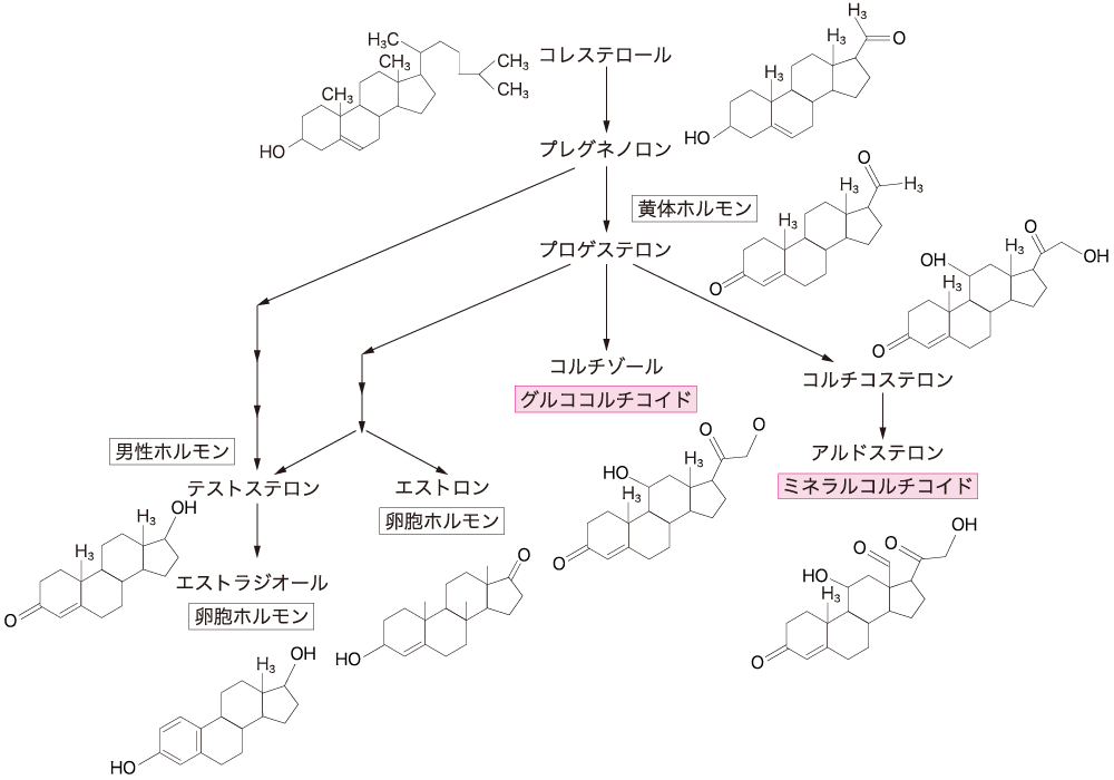 図11