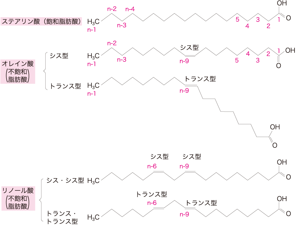 図1