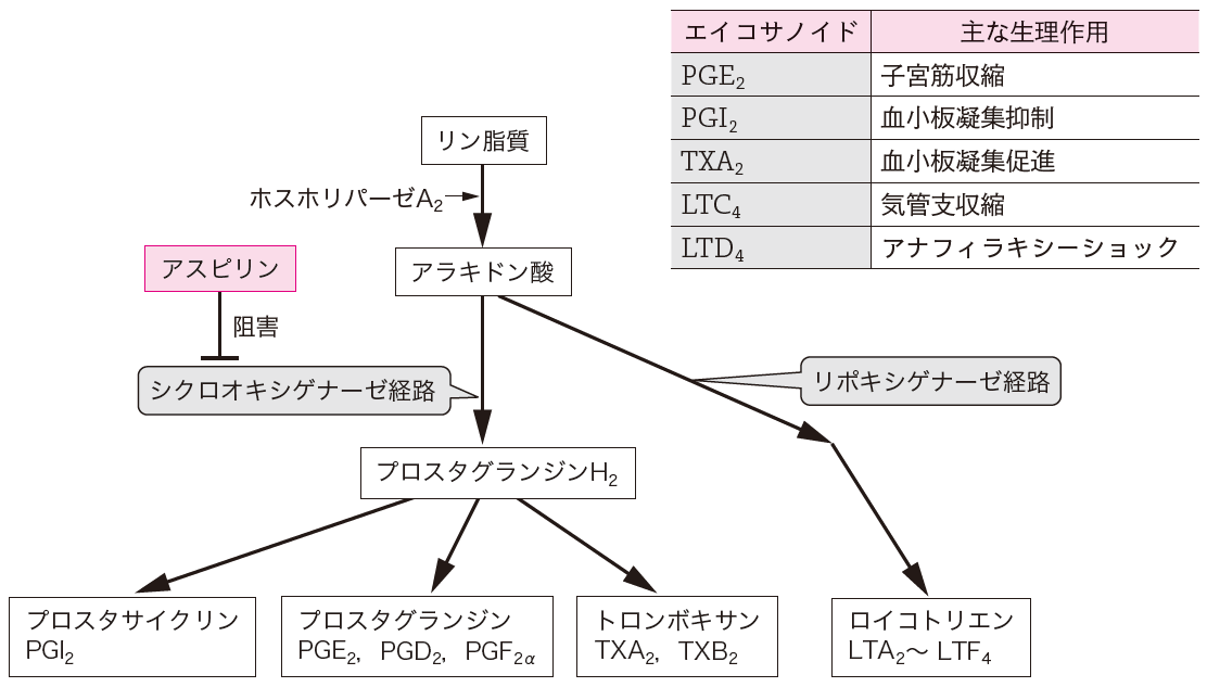 表