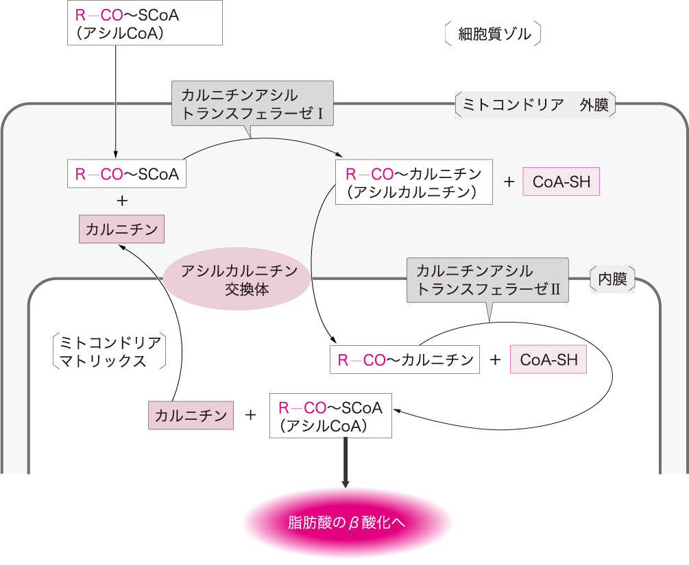 図6