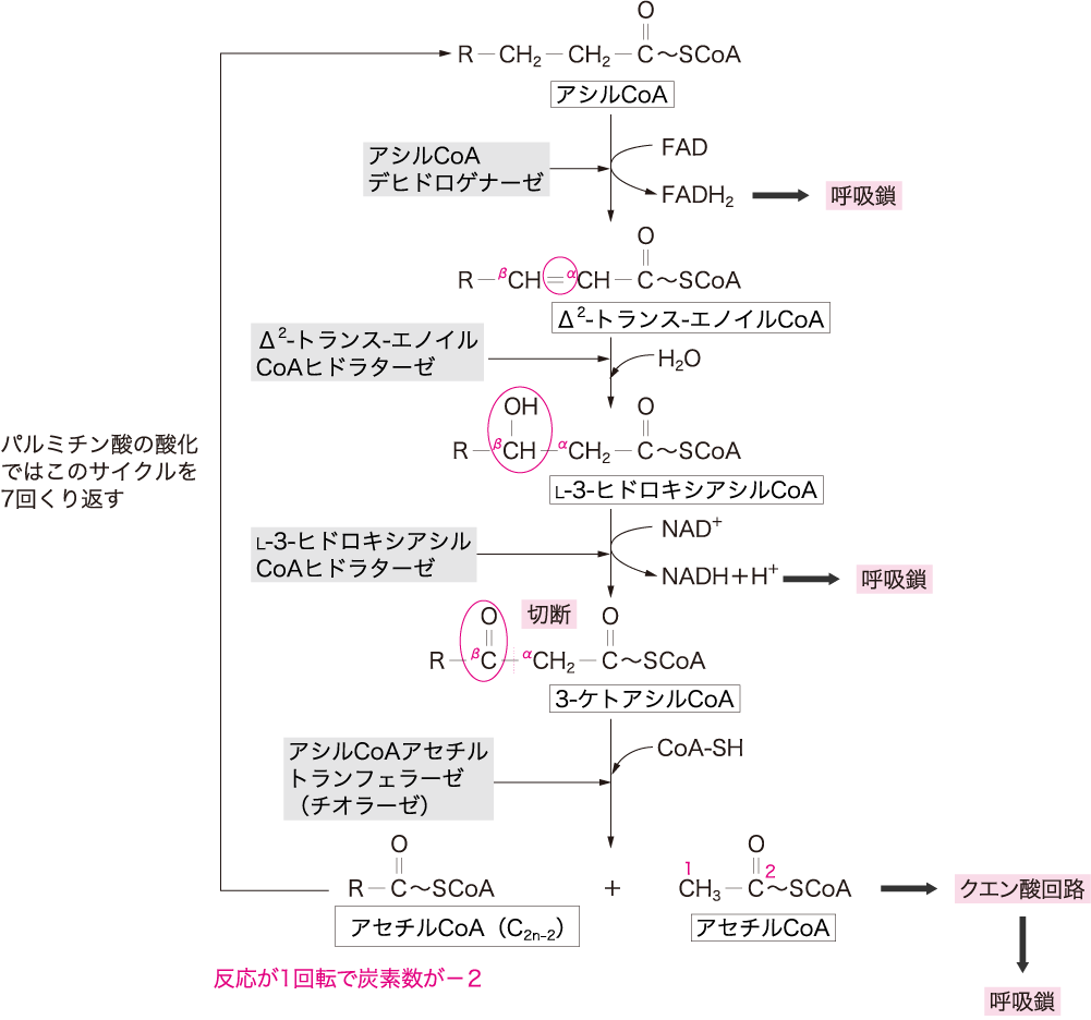 図7