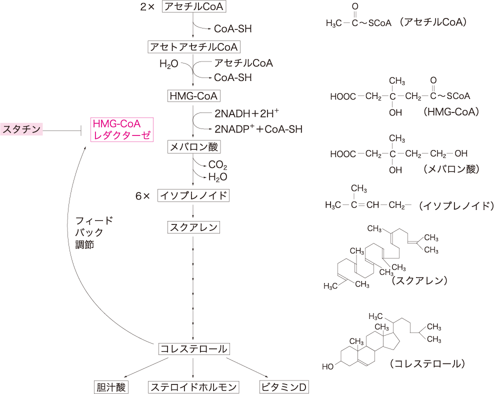 図9