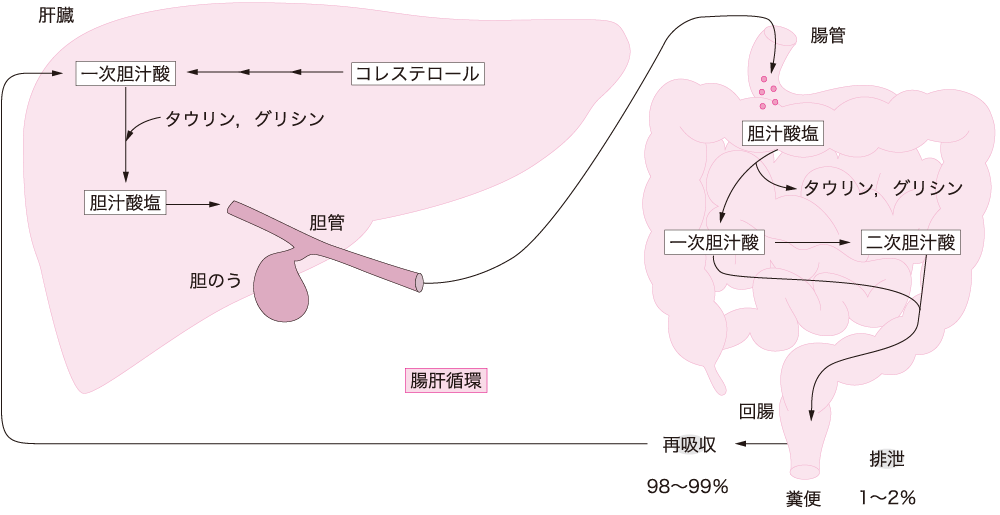 図10