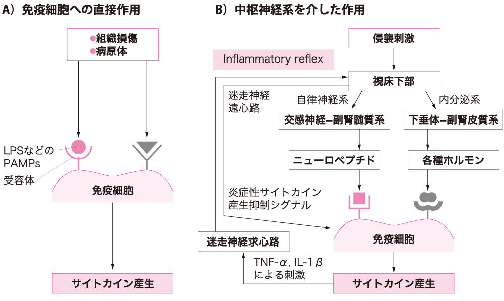 図Ⅰ