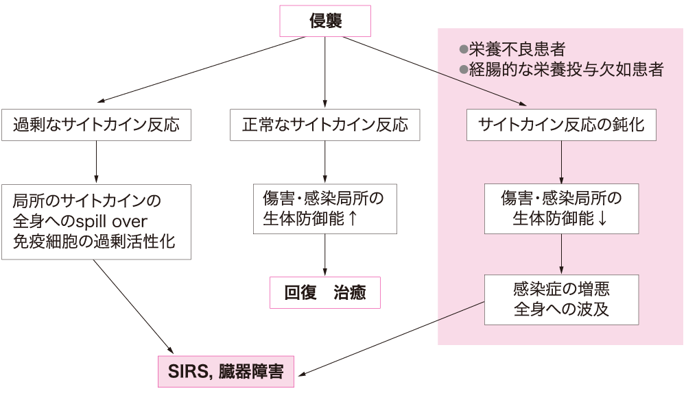 図Ⅱ