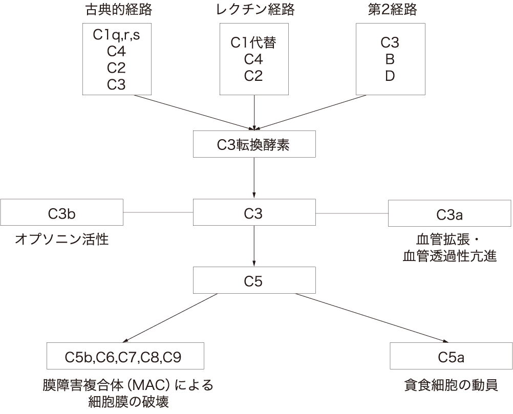 図2