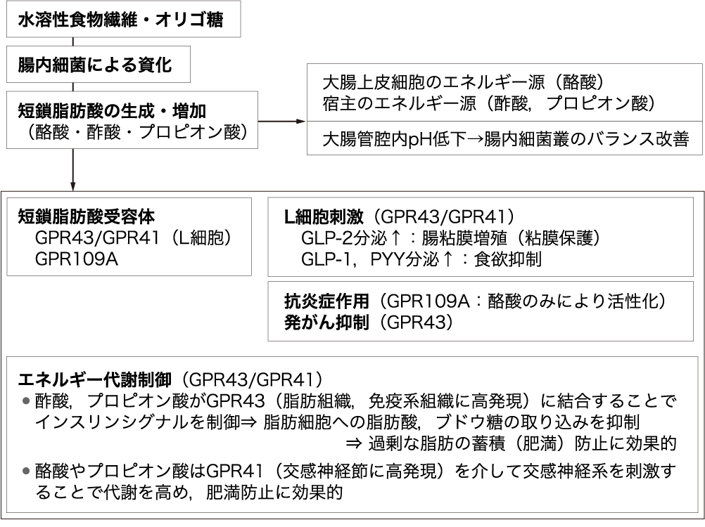 図1