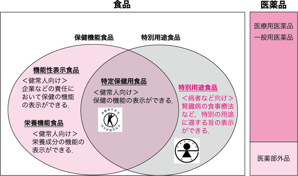 図Ⅰ