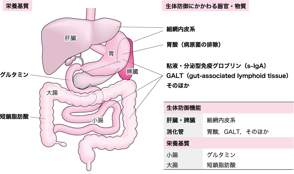 図Ⅰ