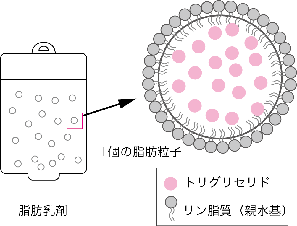  図1●脂肪乳剤の基本構造