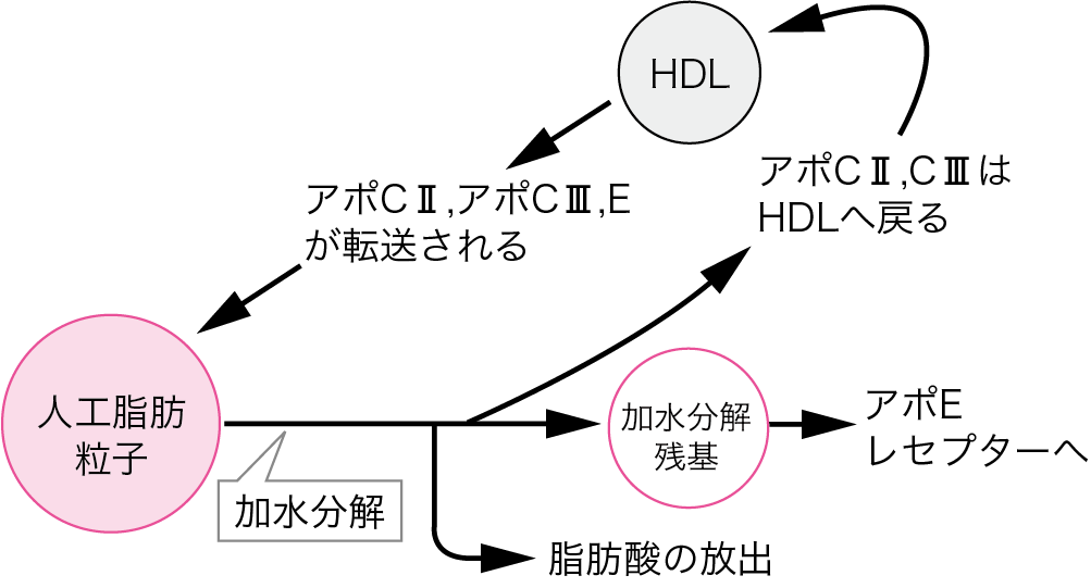 図5