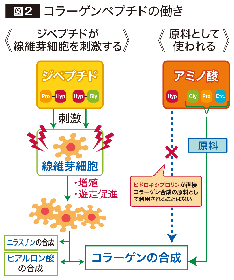 60_0136_図2.jpg